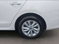 Skoda Octavia Combi TDI DSG - nur €34.499,-* Monatlich € 359,- Weiß - thumbnail 15