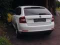 Skoda Rapid/Spaceback Rapid 1.4 TDI,Joy,Klimatr.Navi,Reifen,Kuppl. neu! Blanco - thumbnail 1