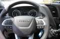 Iveco Daily 72 C 18H/P Abrollkipper Palfinger mit Cont Weiß - thumbnail 13