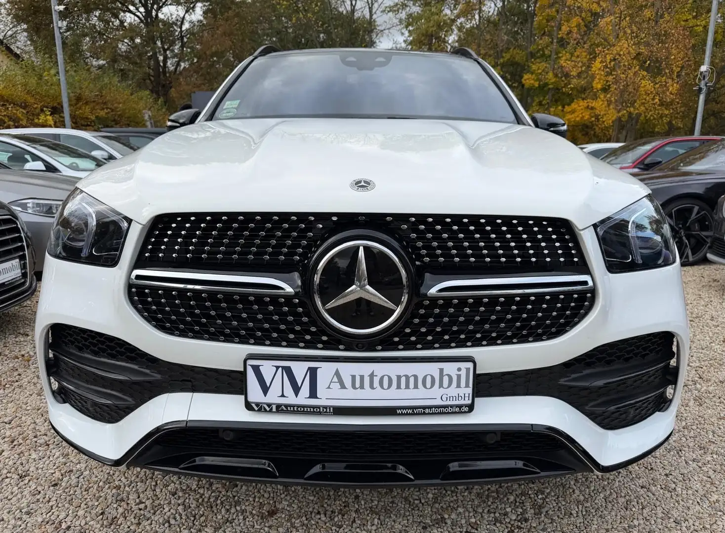 Mercedes-Benz GLE 400 4M AMG Pano*AHK*ACC*StandHz*Memory*Burm Weiß - 2