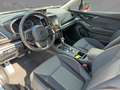 Subaru XV 1.6i Exclusive Alu, Klima Gris - thumbnail 7