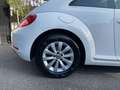 Volkswagen Coccinelle 1,2 Tsi 105 Ch BVM6 Design Blanco - thumbnail 2