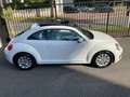 Volkswagen Coccinelle 1,2 Tsi 105 Ch BVM6 Design Blanco - thumbnail 5
