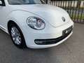 Volkswagen Coccinelle 1,2 Tsi 105 Ch BVM6 Design Weiß - thumbnail 8