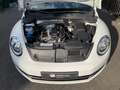 Volkswagen Coccinelle 1,2 Tsi 105 Ch BVM6 Design Blanco - thumbnail 19