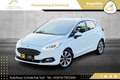 Ford Fiesta Vignale 1,0 EcoBoost Aut. // 1.BESITZ // AUTOMA... Weiß - thumbnail 11