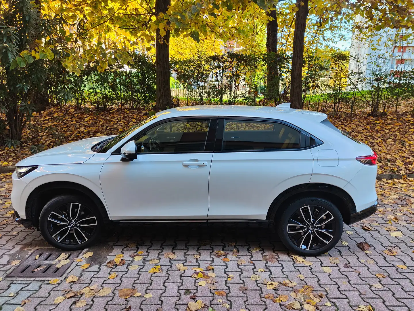 Honda HR-V 1.5 Hev eCVT Advance Wit - 2