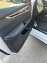 BMW X5 X5 xDrive40d Weiß - thumbnail 20