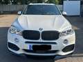 BMW X5 X5 xDrive40d Weiß - thumbnail 2