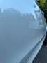 BMW X5 X5 xDrive40d Weiß - thumbnail 39