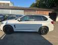 BMW X5 X5 xDrive40d Weiß - thumbnail 5