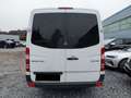 Mercedes-Benz Sprinter BUS 316 CDI Weiß - thumbnail 5