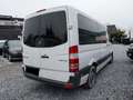 Mercedes-Benz Sprinter BUS 316 CDI Weiß - thumbnail 4