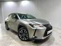 Lexus UX 250h Executive 2WD Gris - thumbnail 2