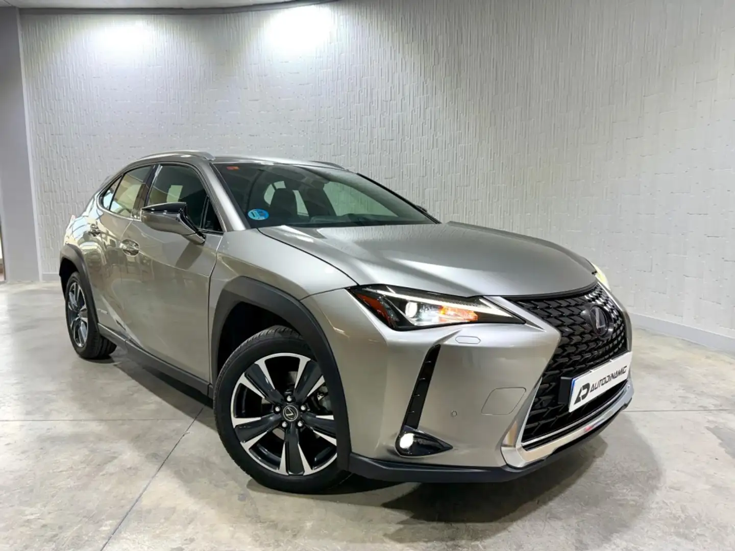 Lexus UX 250h Executive 2WD Gris - 2