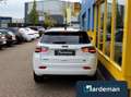 Jeep Compass 4xe 240 Plug-in Hybrid Electric S Blanco - thumbnail 29