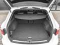 SEAT Leon ST 2.0 TSI CUPRA 300 Panoramadak Adaptive Cruise c Blanc - thumbnail 18