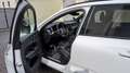 Volvo XC60 R Design 2WD Weiß - thumbnail 10