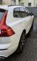 Volvo XC60 R Design 2WD Weiß - thumbnail 5