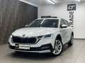 Skoda Octavia 2.0 TDI DPF Scout 4x4 Weiß - thumbnail 2