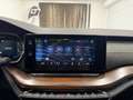 Skoda Octavia 2.0 TDI DPF Scout 4x4 Weiß - thumbnail 38