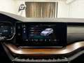 Skoda Octavia 2.0 TDI DPF Scout 4x4 Weiß - thumbnail 27