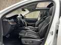 Skoda Octavia 2.0 TDI DPF Scout 4x4 Weiß - thumbnail 12