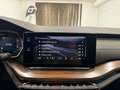 Skoda Octavia 2.0 TDI DPF Scout 4x4 Weiß - thumbnail 32