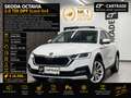 Skoda Octavia 2.0 TDI DPF Scout 4x4 Weiß - thumbnail 1