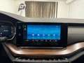 Skoda Octavia 2.0 TDI DPF Scout 4x4 Weiß - thumbnail 33