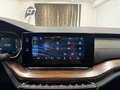 Skoda Octavia 2.0 TDI DPF Scout 4x4 Weiß - thumbnail 37