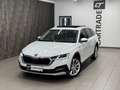 Skoda Octavia 2.0 TDI DPF Scout 4x4 Weiß - thumbnail 3
