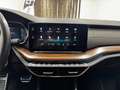 Skoda Octavia 2.0 TDI DPF Scout 4x4 Weiß - thumbnail 19