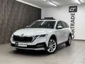 Skoda Octavia 2.0 TDI DPF Scout 4x4 Weiß - thumbnail 5