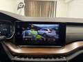 Skoda Octavia 2.0 TDI DPF Scout 4x4 Weiß - thumbnail 30