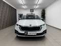 Skoda Octavia 2.0 TDI DPF Scout 4x4 Weiß - thumbnail 4