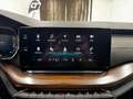 Skoda Octavia 2.0 TDI DPF Scout 4x4 Weiß - thumbnail 22