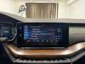 Skoda Octavia 2.0 TDI DPF Scout 4x4 Weiß - thumbnail 39