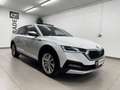 Skoda Octavia 2.0 TDI DPF Scout 4x4 Weiß - thumbnail 6
