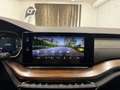 Skoda Octavia 2.0 TDI DPF Scout 4x4 Weiß - thumbnail 40