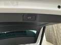 Skoda Octavia 2.0 TDI DPF Scout 4x4 Weiß - thumbnail 46
