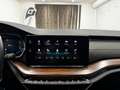 Skoda Octavia 2.0 TDI DPF Scout 4x4 Weiß - thumbnail 21