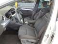 SEAT Ibiza 1.0 TSI DSG FR-Line Navi LED SHZ ACC Kamer Blanc - thumbnail 5