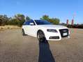 Audi S4 S4 Avant 3.0 V6 tfsi quattro s-tronic Белый - thumbnail 15