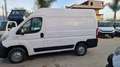 Fiat Ducato L1 H2 PASSO CORTO TETTO ALTO 2.3 MJT 130 CV Blanc - thumbnail 2