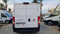 Fiat Ducato L1 H2 PASSO CORTO TETTO ALTO 2.3 MJT 130 CV Blanc - thumbnail 4