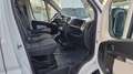 Fiat Ducato L1 H2 PASSO CORTO TETTO ALTO 2.3 MJT 130 CV Blanc - thumbnail 8