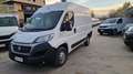 Fiat Ducato L1 H2 PASSO CORTO TETTO ALTO 2.3 MJT 130 CV Blanc - thumbnail 1
