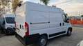 Fiat Ducato L1 H2 PASSO CORTO TETTO ALTO 2.3 MJT 130 CV Blanc - thumbnail 5
