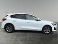 Ford Focus Titanium Style, Winter-Paket, get. Scheiben Blanc - thumbnail 7